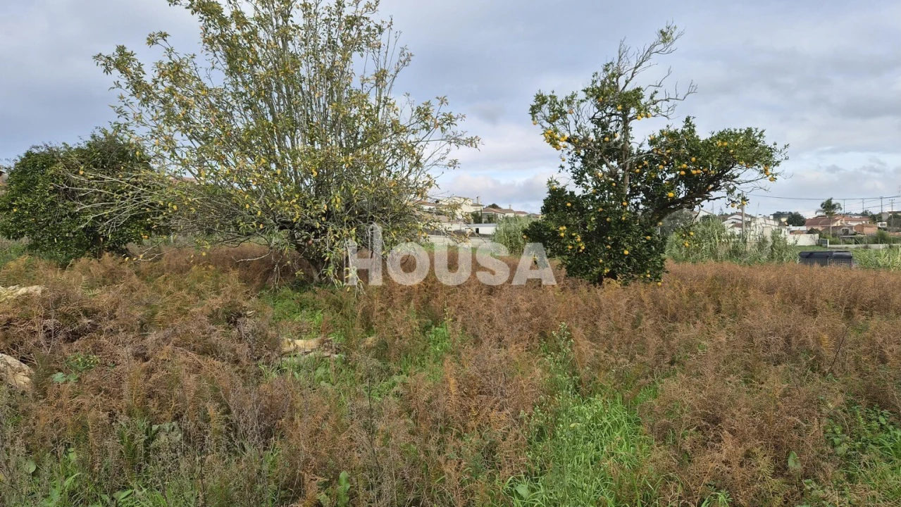 Terreno para Venda em Bidoeira de Cima Foto 4