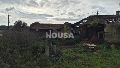 Terreno para Venda em Bidoeira de Cima
