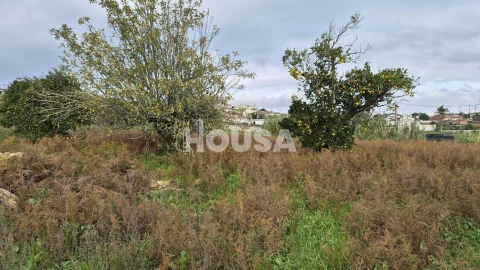 Terreno para Venda em Bidoeira de Cima