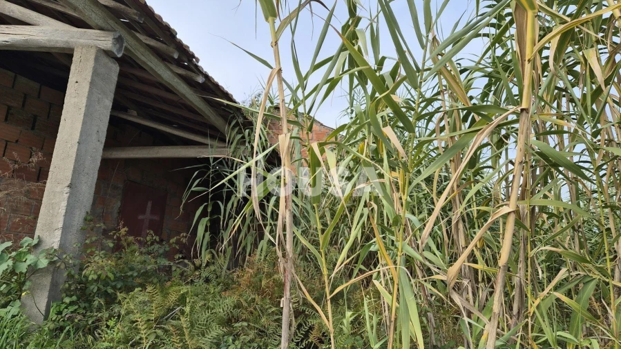 Terreno para Venda em Bidoeira de Cima Foto 7
