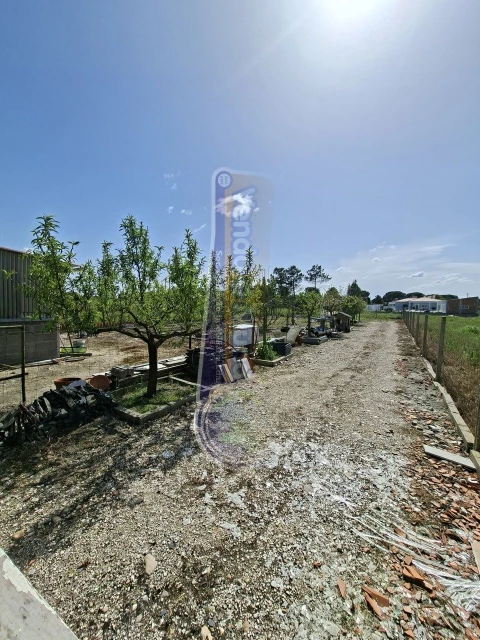 Moradia T3 para Venda em Marinhais