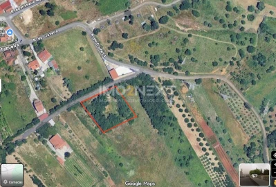 Terreno para Venda em Maceira