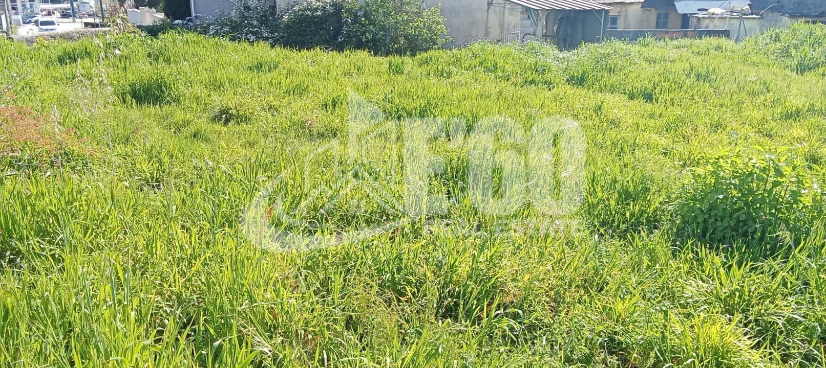 Terreno para Venda em Fiães Foto 2
