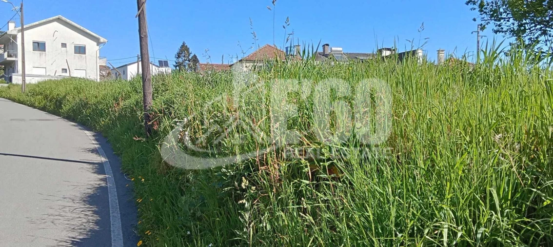Terreno para Venda em Fiães Foto 6