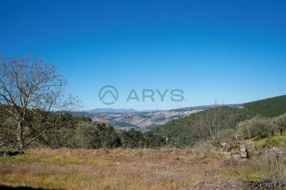 Quinta T0 para Venda em Favaios