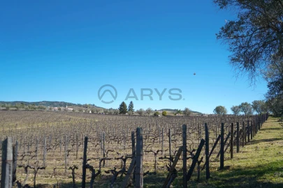 Quinta T0 para Venda em Favaios