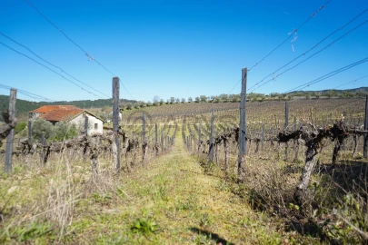 Quinta T0 para Venda em Favaios