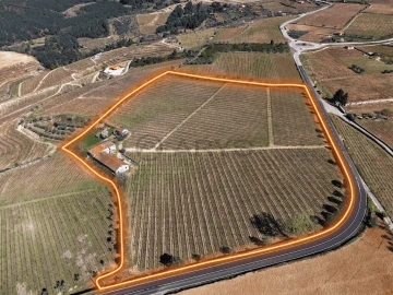 Quinta T0 para Venda em Favaios