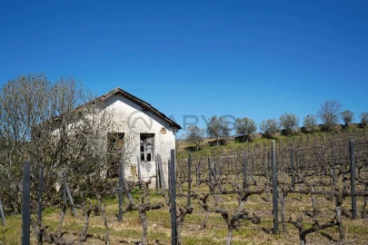 Quinta T0 para Venda em Favaios