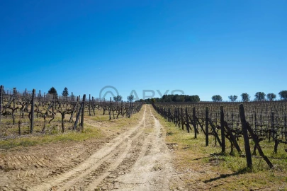 Quinta T0 para Venda em Favaios