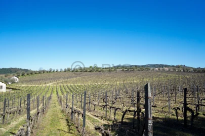 Quinta T0 para Venda em Favaios