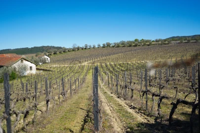 Quinta T0 para Venda em Favaios