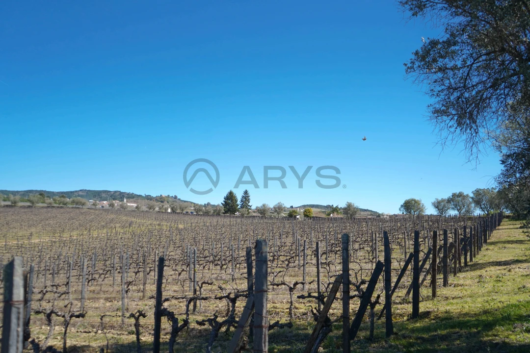 Quinta T0 para Venda em Favaios Foto 4