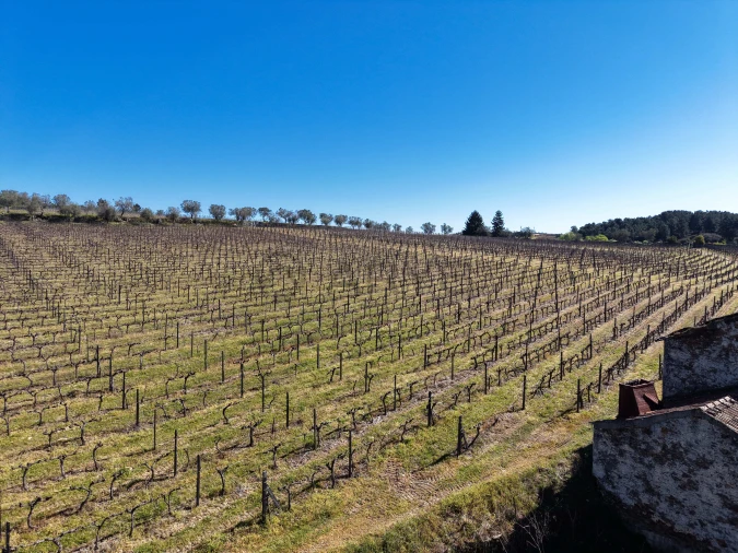 Quinta T0 para Venda em Favaios Foto 6