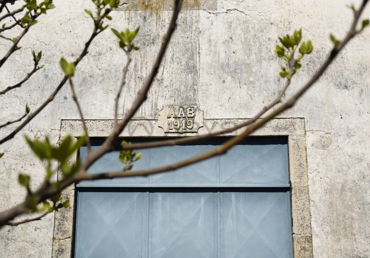 Quinta T0 para Venda em Favaios Foto 12