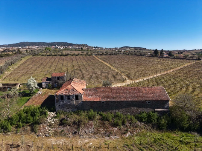 Quinta T0 para Venda em Favaios Foto 8