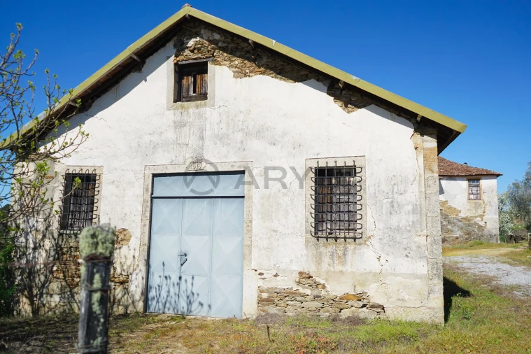 Quinta T0 para Venda em Favaios Foto 14