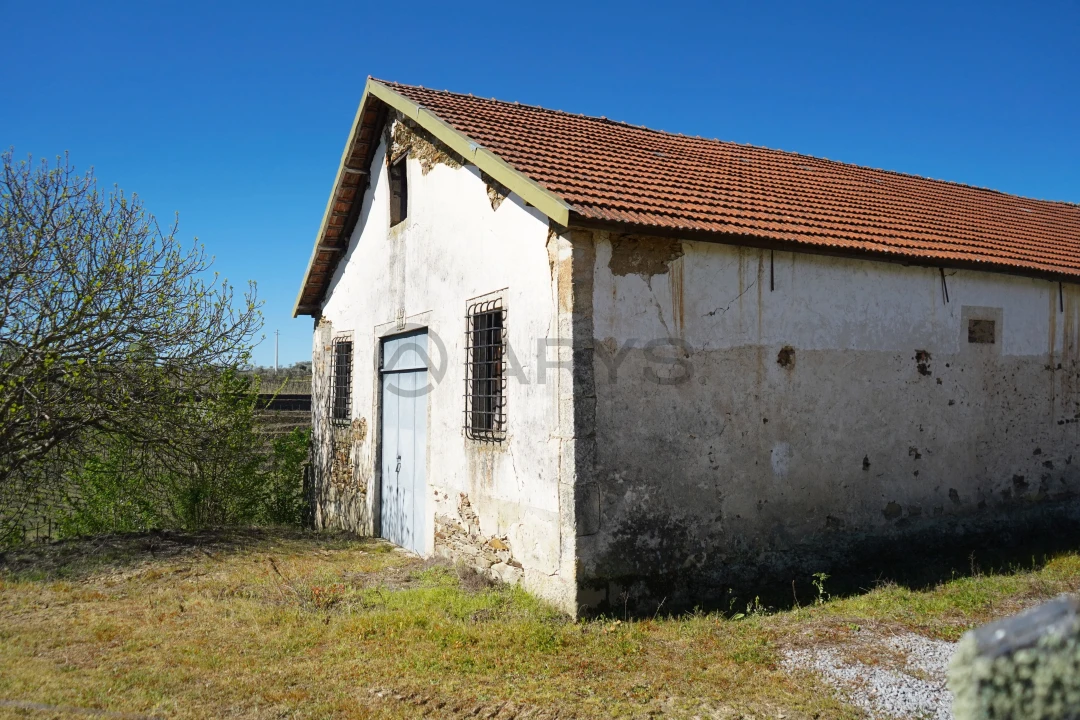 Quinta T0 para Venda em Favaios Foto 15