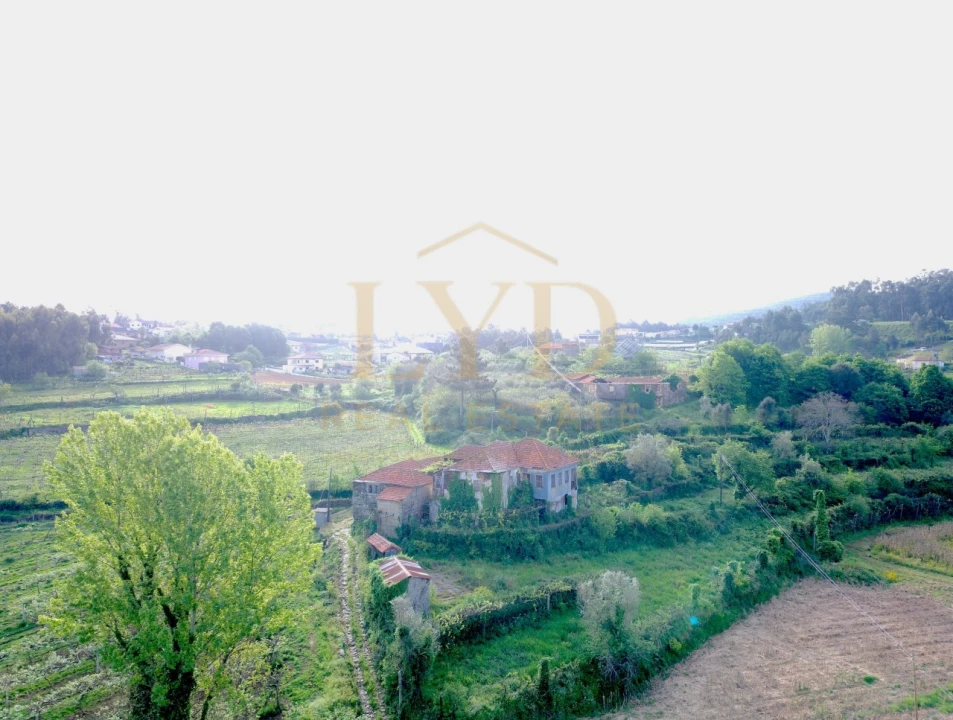 Quinta para Venda em Santa Maria de Sardoura Foto 6