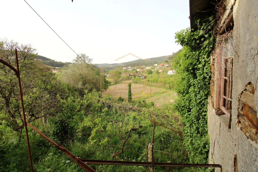 Quinta para Venda em Santa Maria de Sardoura Foto 8