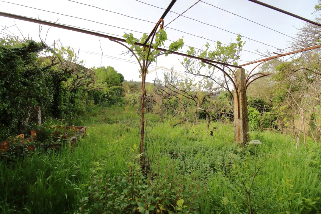 Quinta para Venda em Santa Maria de Sardoura Foto 11