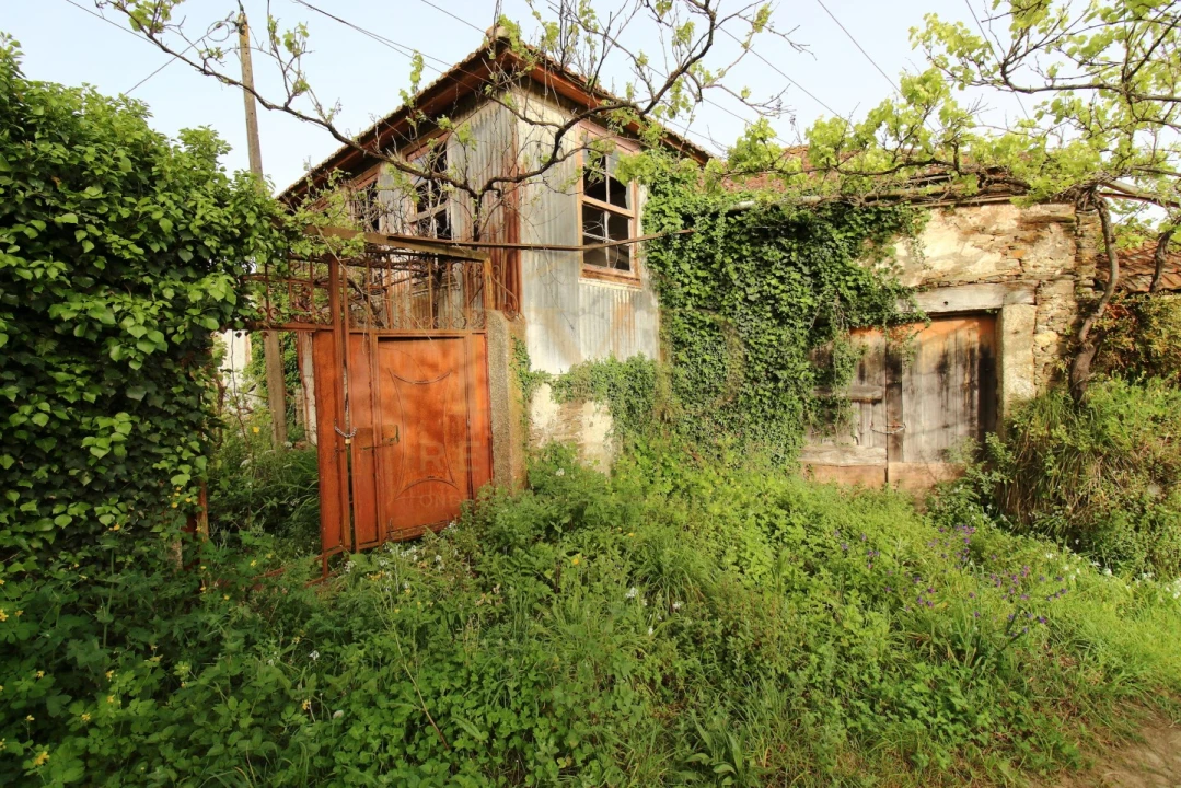 Quinta para Venda em Santa Maria de Sardoura Foto 13