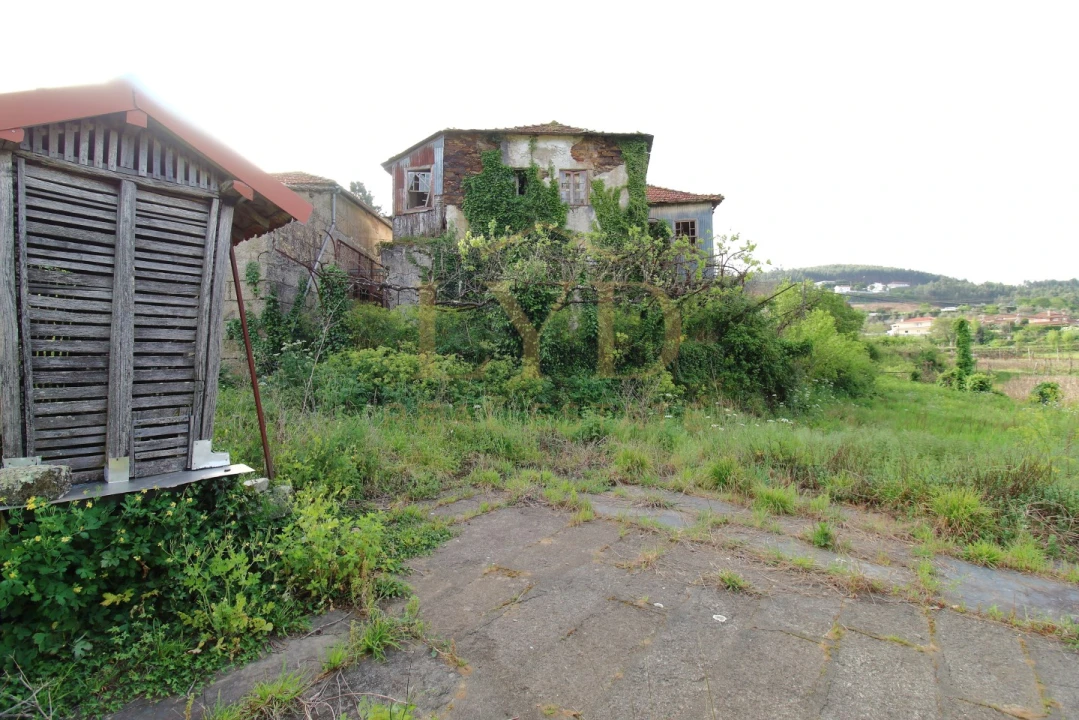 Quinta para Venda em Santa Maria de Sardoura Foto 16