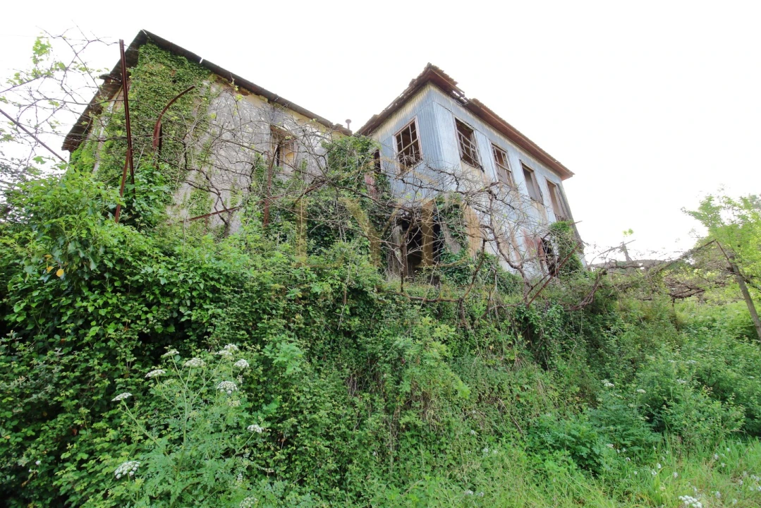 Quinta para Venda em Santa Maria de Sardoura Foto 19