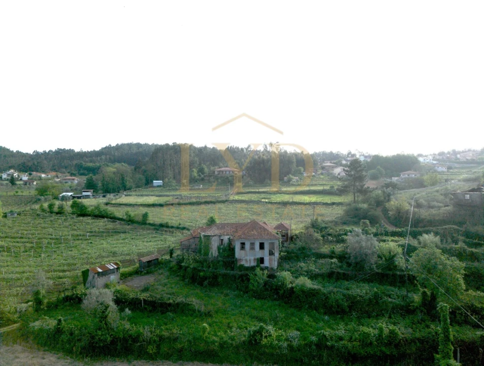 Quinta para Venda em Santa Maria de Sardoura Foto 20