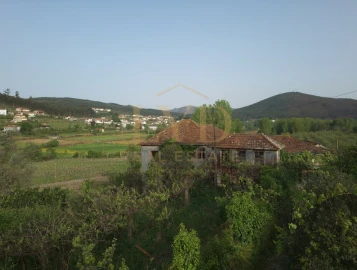 Quinta para Venda em Santa Maria de Sardoura