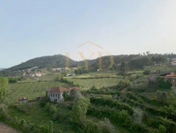 Quinta para Venda em Santa Maria de Sardoura