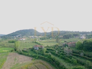 Quinta para Venda em Santa Maria de Sardoura