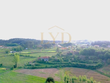 Quinta para Venda em Santa Maria de Sardoura