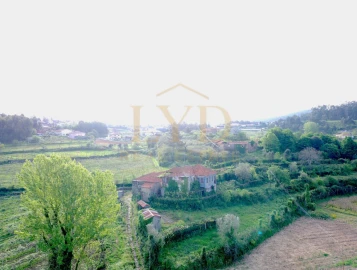 Quinta para Venda em Santa Maria de Sardoura