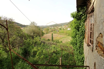 Quinta para Venda em Santa Maria de Sardoura