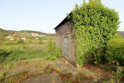 Quinta para Venda em Santa Maria de Sardoura