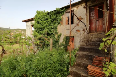 Quinta para Venda em Santa Maria de Sardoura