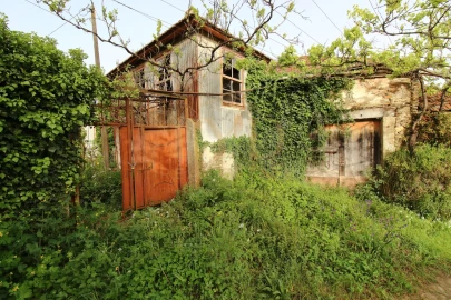 Quinta para Venda em Santa Maria de Sardoura