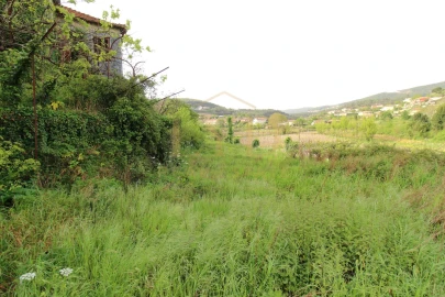 Quinta para Venda em Santa Maria de Sardoura