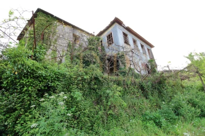 Quinta para Venda em Santa Maria de Sardoura