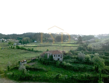 Quinta para Venda em Santa Maria de Sardoura