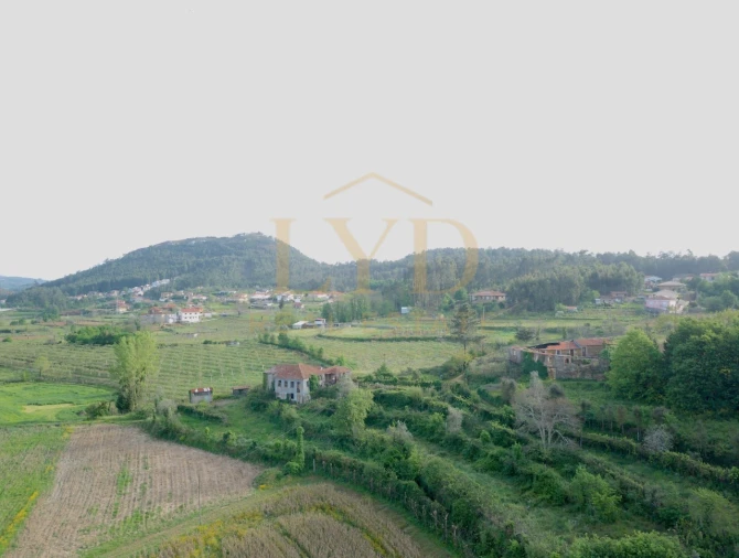 Quinta para Venda em Santa Maria de Sardoura Foto 4