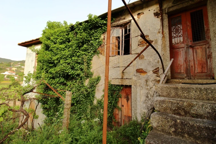 Quinta para Venda em Santa Maria de Sardoura Foto 7