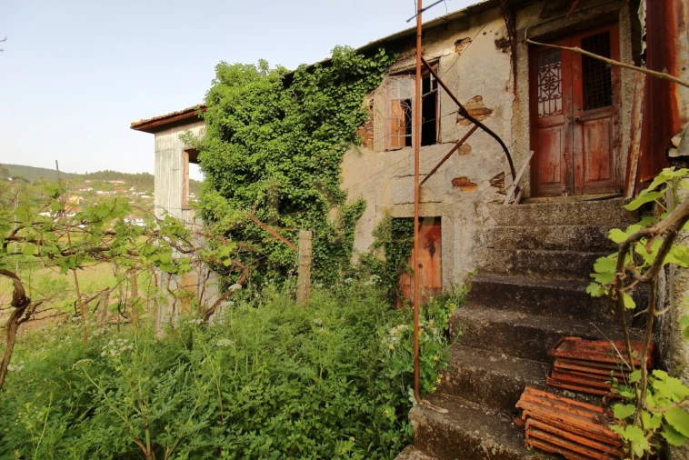Quinta para Venda em Santa Maria de Sardoura Foto 10