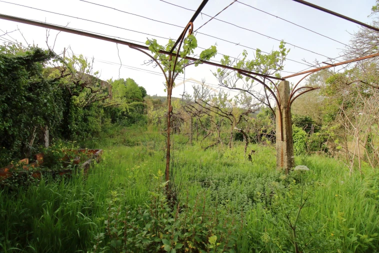 Quinta para Venda em Santa Maria de Sardoura Foto 11