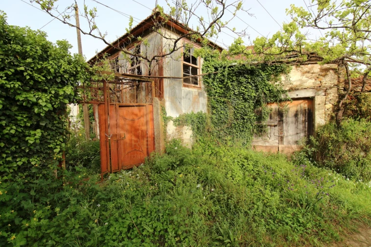 Quinta para Venda em Santa Maria de Sardoura Foto 13