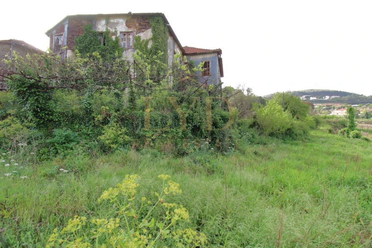 Quinta para Venda em Santa Maria de Sardoura Foto 15