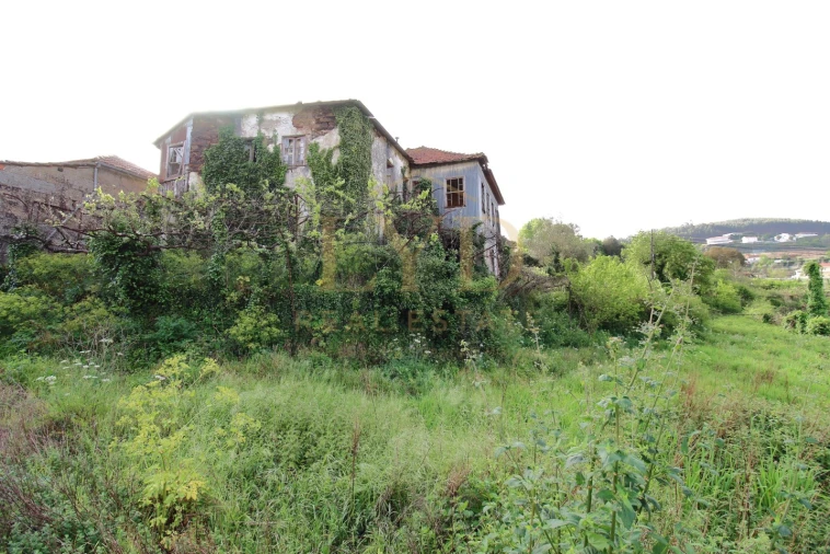 Quinta para Venda em Santa Maria de Sardoura Foto 18