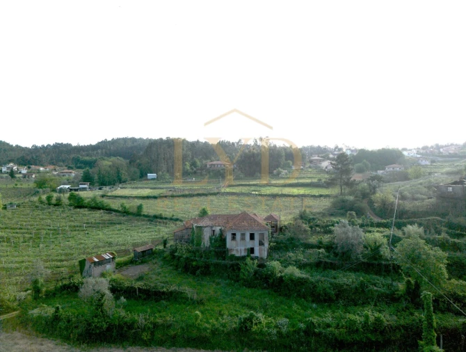 Quinta para Venda em Santa Maria de Sardoura Foto 20