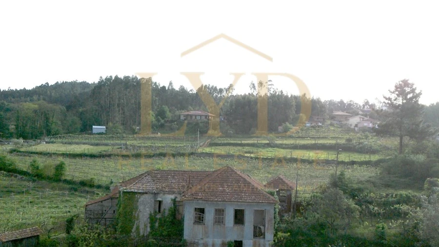 Quinta T4 para Venda em Santa Maria de Sardoura